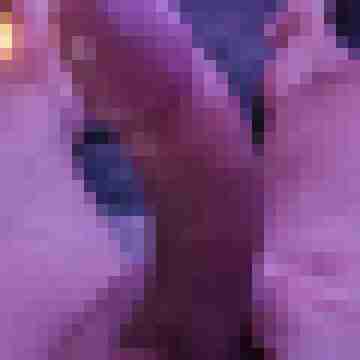 neu_hier73