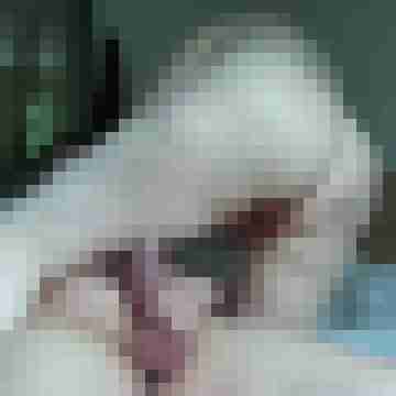 CCAA66