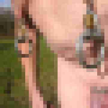 nippel81