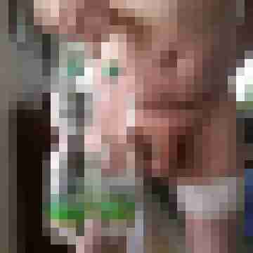 Frankbi46