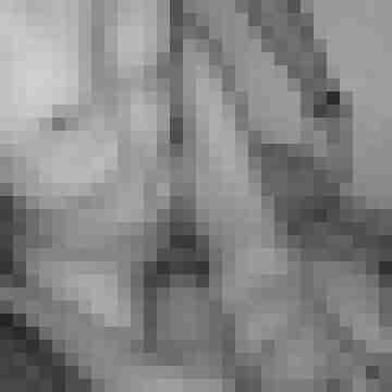 monochrome