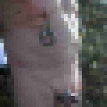 nippel81