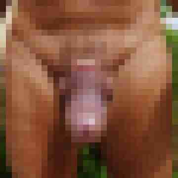 Tscharlie7