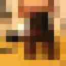 Nylon_paar