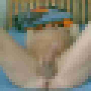 Fotoliebhaber