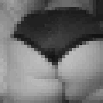 arschstute