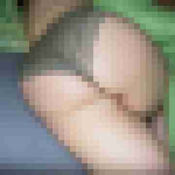 arschstute