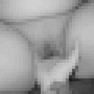 arschstute