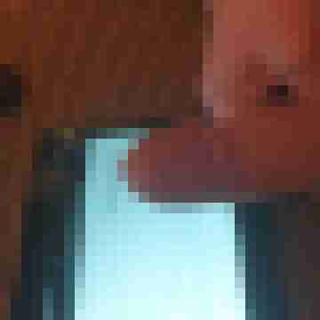 Retep2006