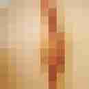 Pichunter66