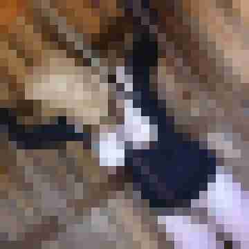 HerrundSub