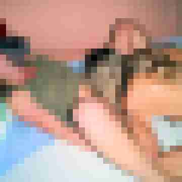 seemann0706