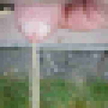 allesficker60