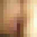 Heraldo_Rey