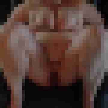 PAARR67