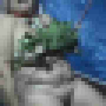 Letsy4u2c