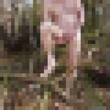 doline