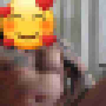 jimmbob006