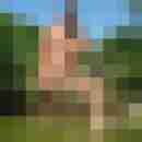 stierodin53