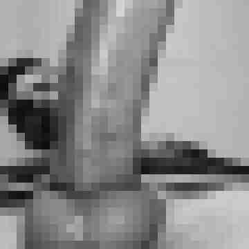Zauberer_von_Oz