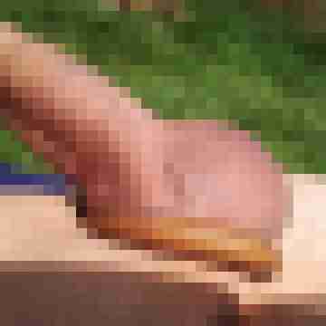 Erotikman2