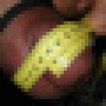 --ZAGEL--