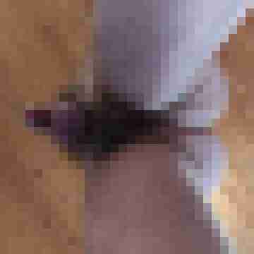 buschiMuschi_pralleEier