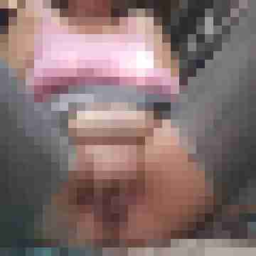 stutenlover