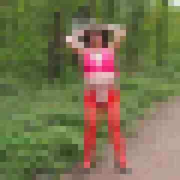 Pulika