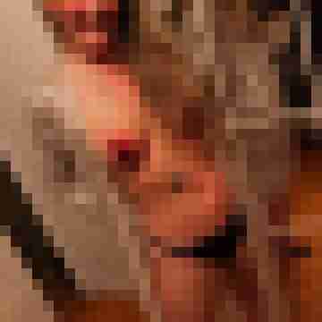 seemann0706