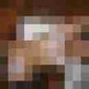 tine33bi