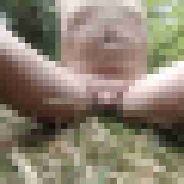 exib1