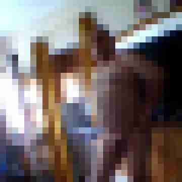 flor0411