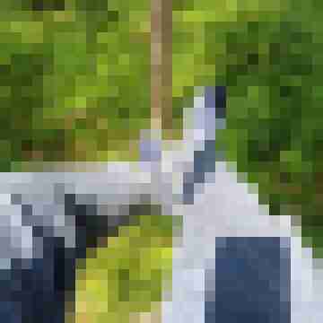 CuntryMax