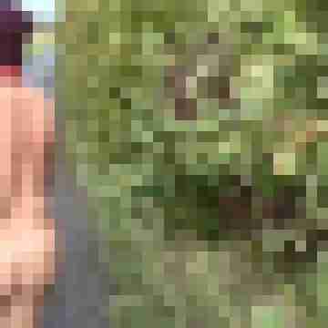 Letsy4u2c
