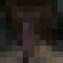 xlifestylex