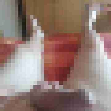 AndreasCux