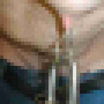 nippel81
