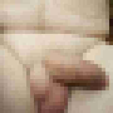 hornyxsar