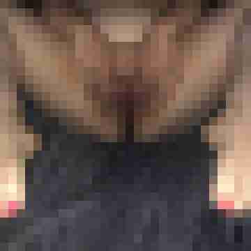 FickSchweine69