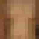 simmick