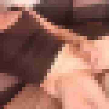 patte83