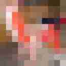Carlchen