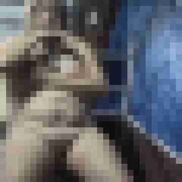 Letsy4u2c