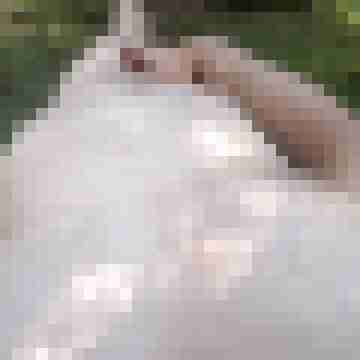 exib1