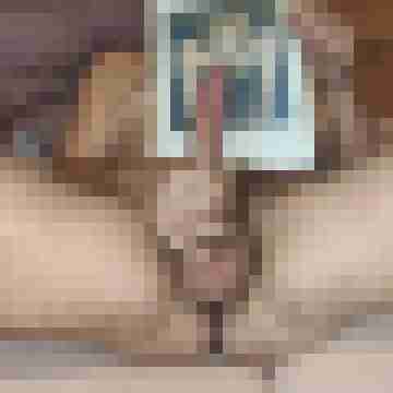 buschiMuschi_pralleEier