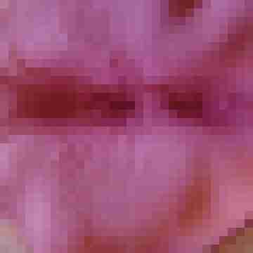 xxliebhaber