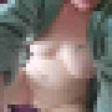 DreamBabyBi