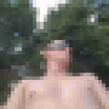 patte83