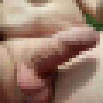 hornyxsar